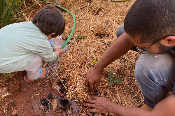 Como Fazer um Canteiro de Alface Orgânico: Uma Aventura em Família (Com o Pequeno Ajudante!)