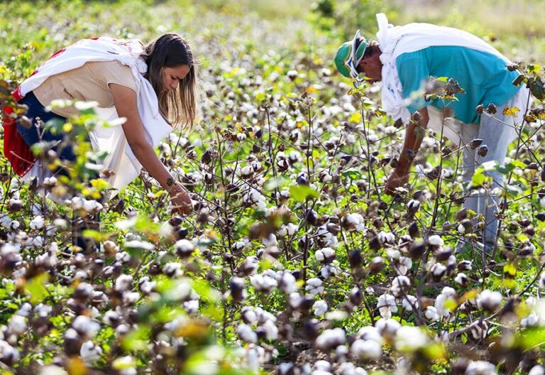 Moda Sustentável: O Que É, Como Funciona e Por Que Está Transformando a Forma de Vestir